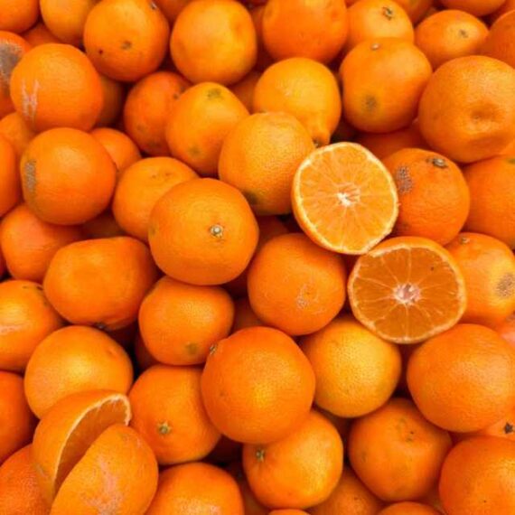 Clementinas - Imagen 2
