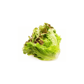 Lechuga Morada